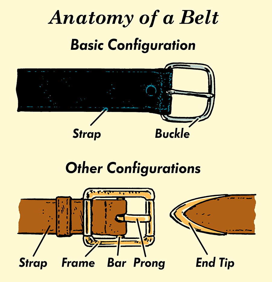 Anatomy of belt is being displayed.