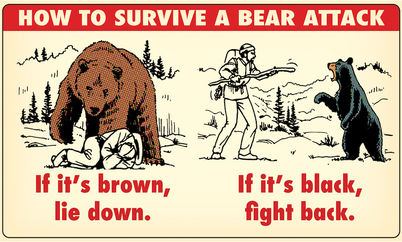 Learn lifesaving mnemonics for surviving a bear attack as a man.