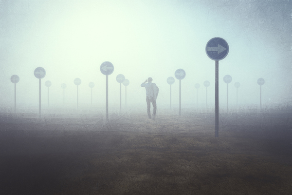 A man is standing in a field with a lot of street signs, prepared for an existential crisis.