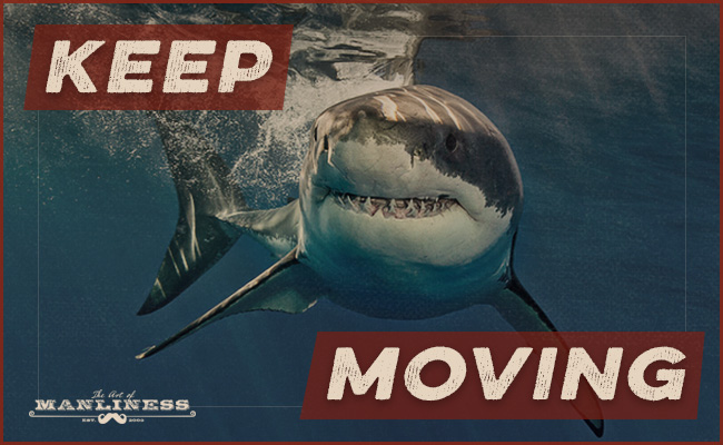 Poster by Art of Manliness about a shark indicating to keep moving.