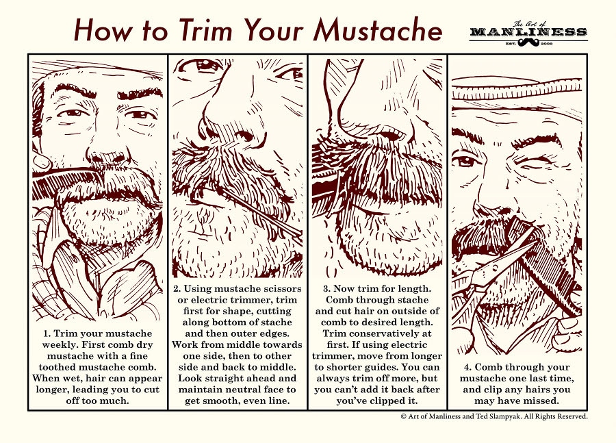 Learn to trim your mustache with an illustrated guide.