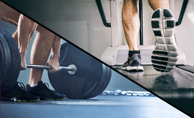 A man and woman lifting weights.