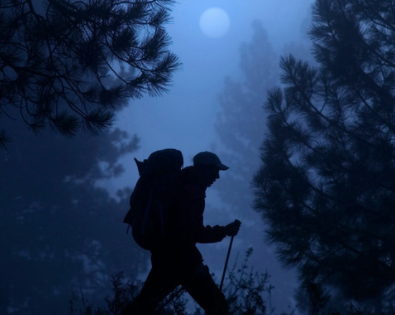 A silhouette of a hiker walking through the woods at night, creating a magical scene.